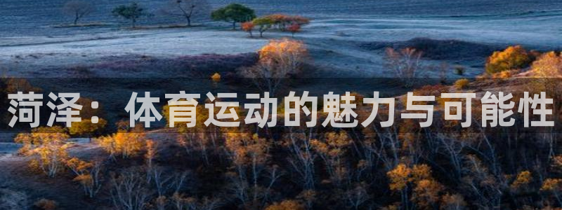 哈哈体育下载：菏泽：体育运动的魅力与可能性