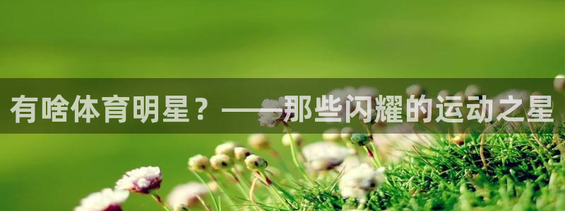 哈哈体育下载：有啥体育明星？——那些闪耀的运动之星