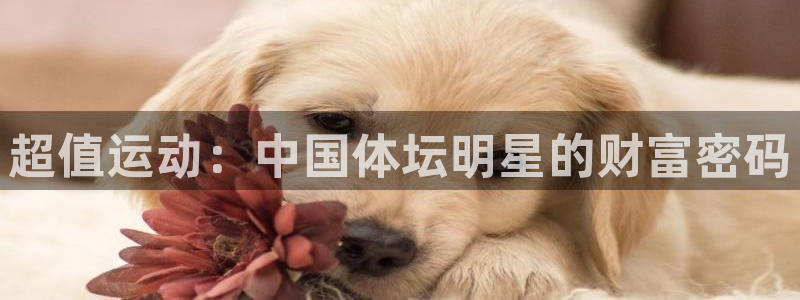 哈哈体育：超值运动：中国体坛明星的财富密码