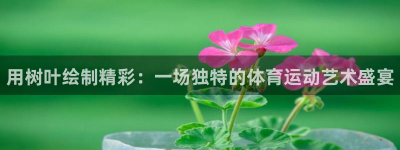 哈哈体育：用树叶绘制精彩：一场独特的体育运动艺术盛宴
