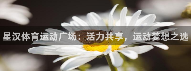 哈哈体育：星汉体育运动广场：活力共享，运动梦想之选
