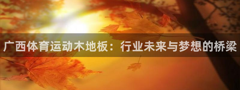 哈哈体育下载：广西体育运动木地板：行业未来与梦想的桥梁