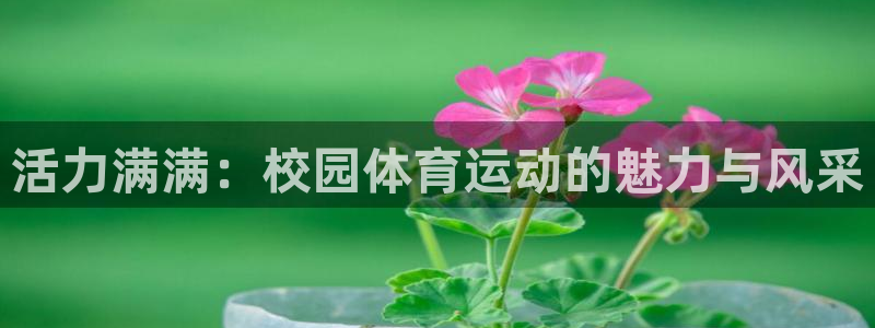 哈哈体育十年：活力满满：校园体育运动的魅力与风采