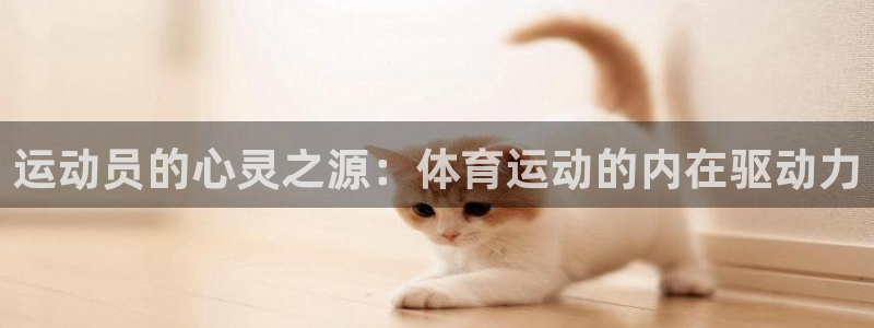 哈哈体育：运动员的心灵之源：体育运动的内在驱动力