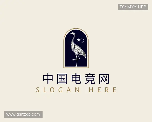 关于中国电竞网