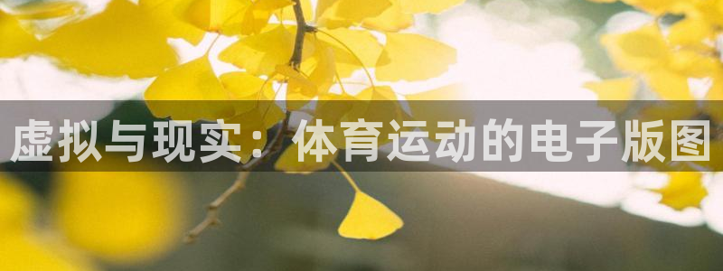 哈哈体育十年：虚拟与现实：体育运动的电子版图